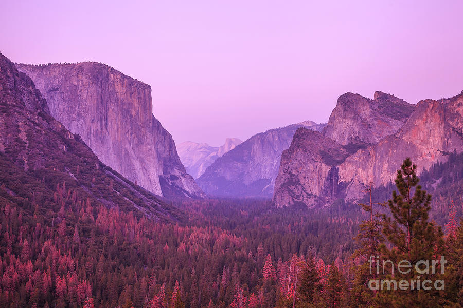 Yosemite pink sunset #2 Photograph by Benny Marty
