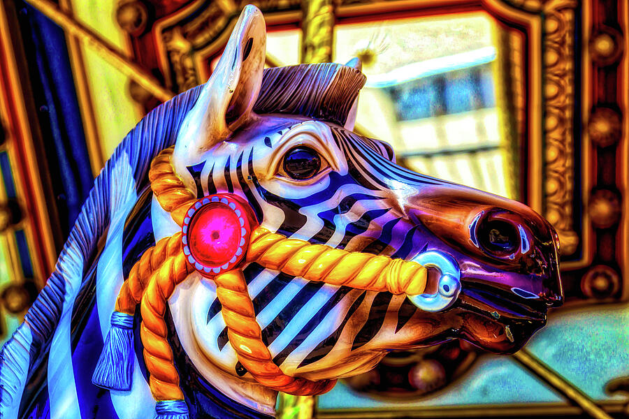 Zebra Ride #1 Photograph by Garry Gay