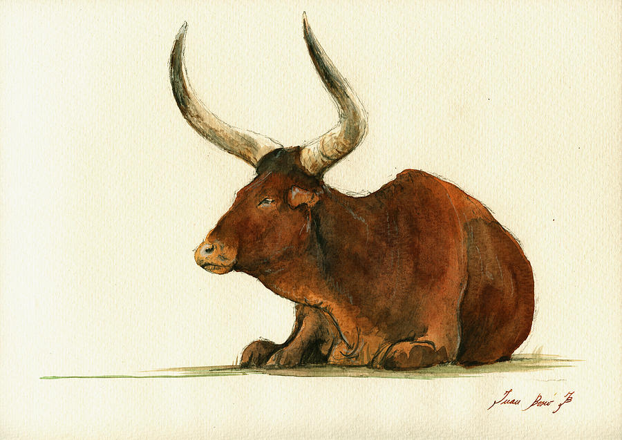 Zebu Painting - Zebu cattle art painting #2 by Juan  Bosco