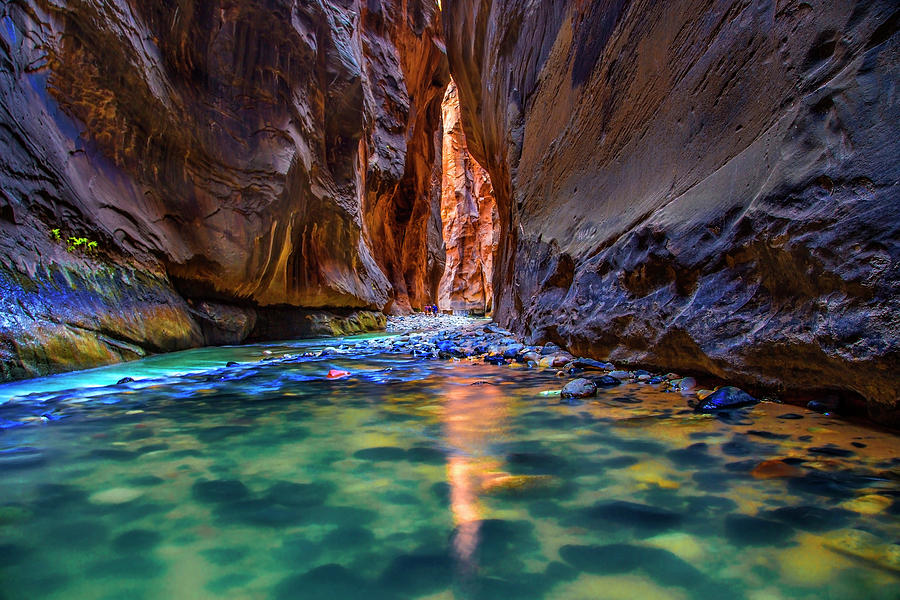 Zion Narrows #2 Photograph by Michael Just