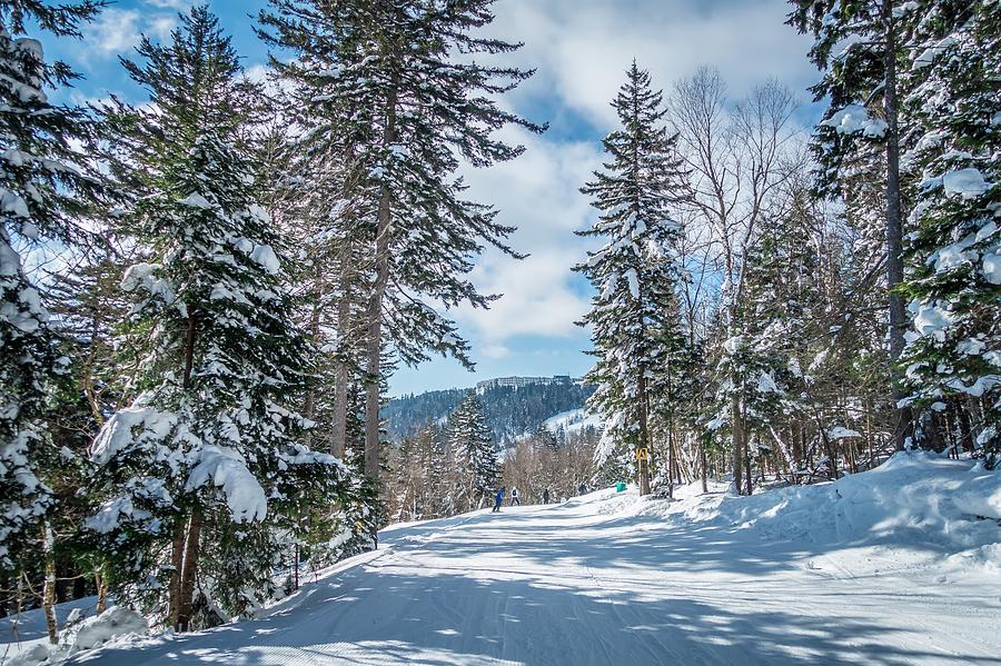 Beautiful Nature And Scenery Around Snowshoe Ski Resort In Cass  #20 Photograph by Alex Grichenko