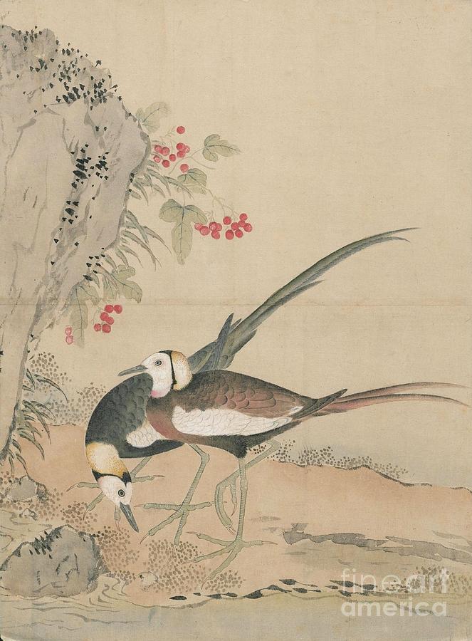 Birds of Japan in the 19th century #20 Painting by Celestial Images