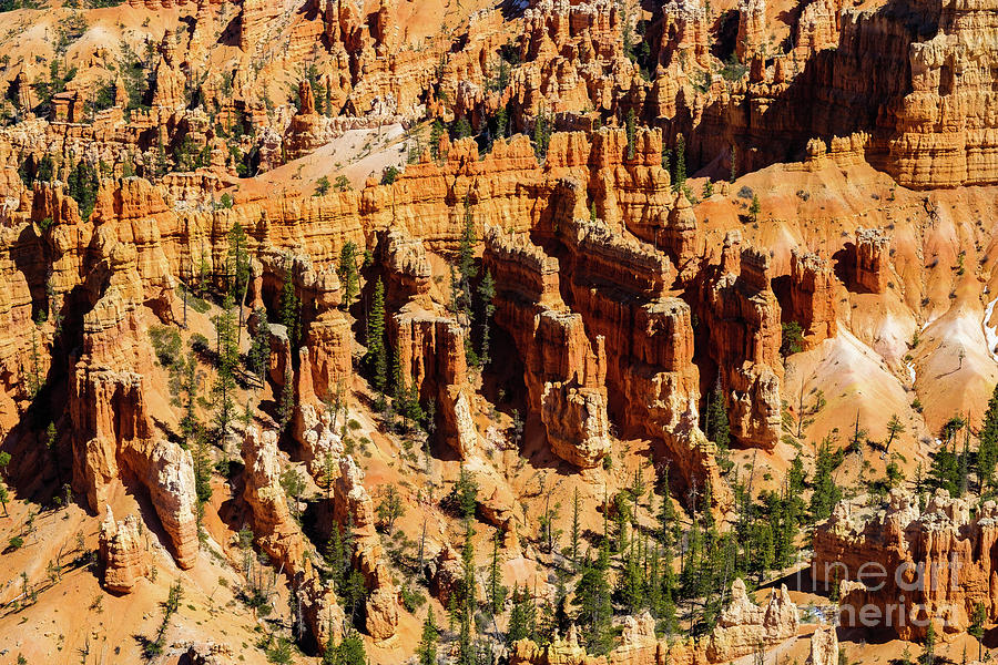 Bryce Canyon Utah Photograph by Raul Rodriguez