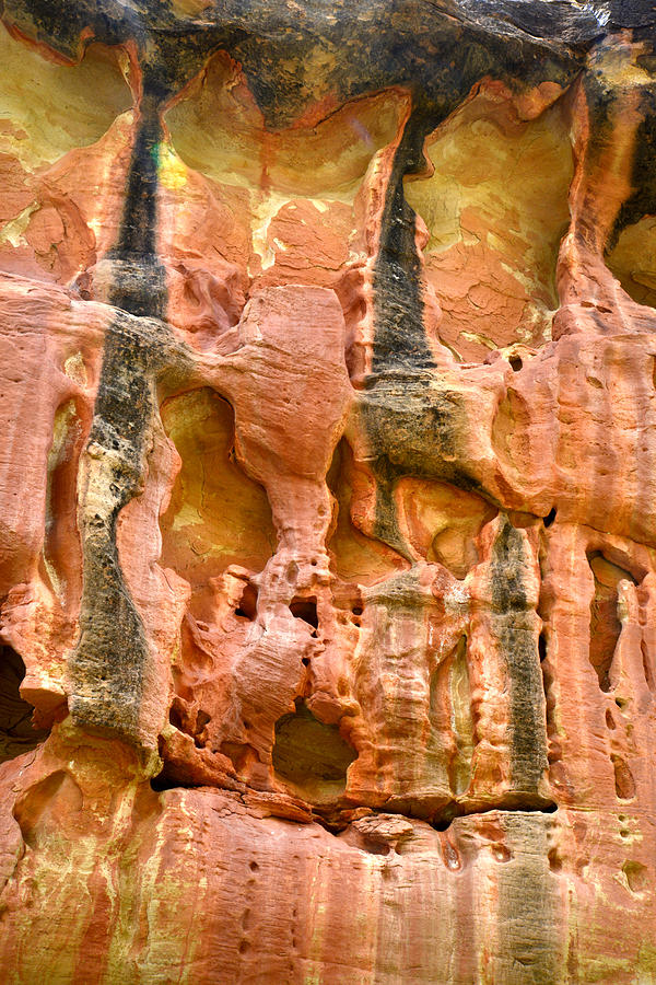 Capitol Reef Wall Art #6 Photograph by Ray Mathis