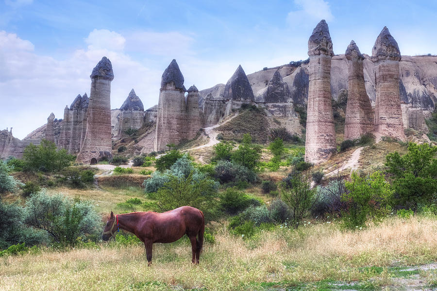 Cappadocia - Turkey #20 Photograph by Joana Kruse