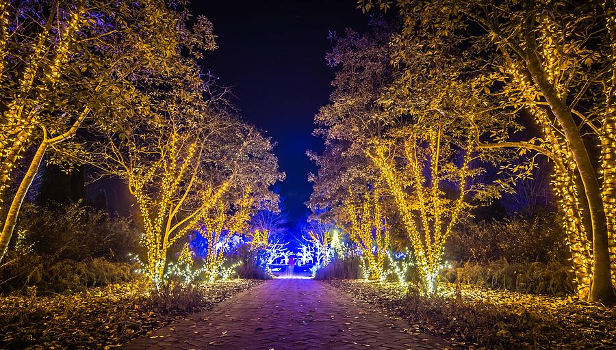 Christmas Season Decorationsafter Sunset At The Gardens #20 Photograph by Alex Grichenko