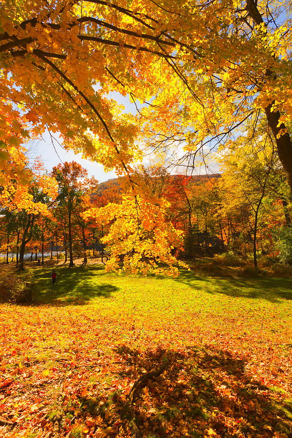 Colorful Fall Scenery Landscapes. Photograph by Andrei Orlov