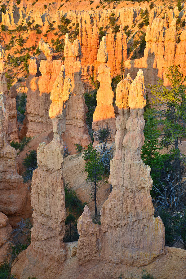 Fairyland Canyon #27 Photograph by Ray Mathis