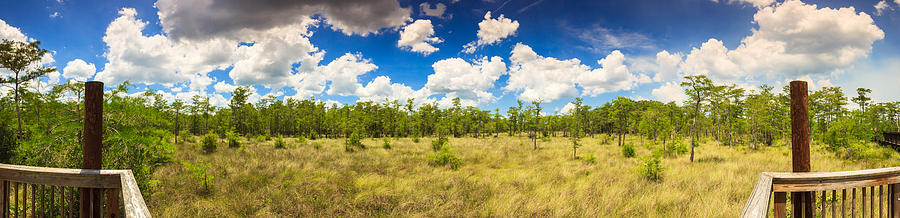 Florida Everglades Photograph by Raul Rodriguez