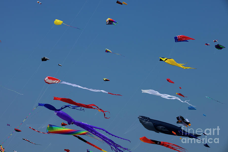 Go Fly a Kite #20 Photograph by Anthony Totah