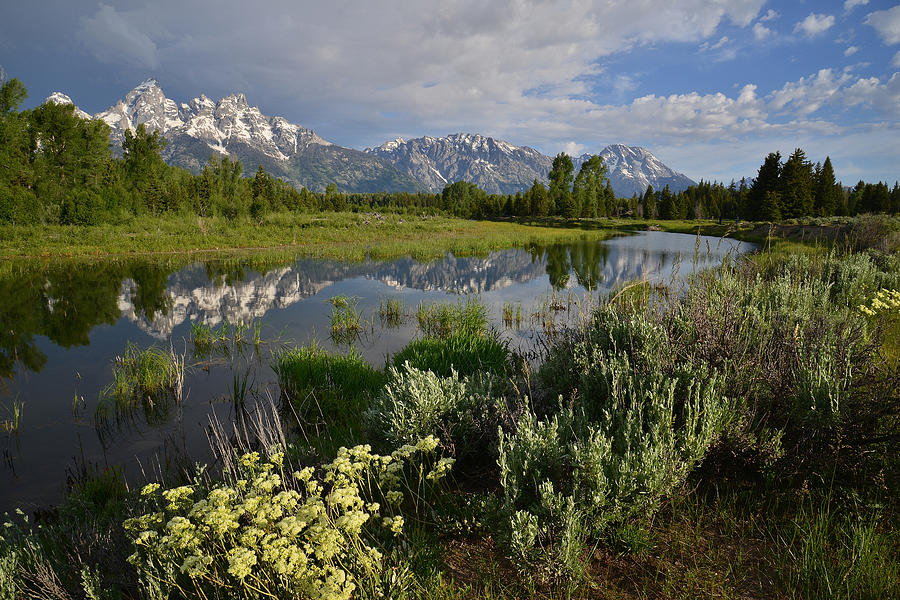 Grand Teton National Park #20 Photograph by Ray Mathis