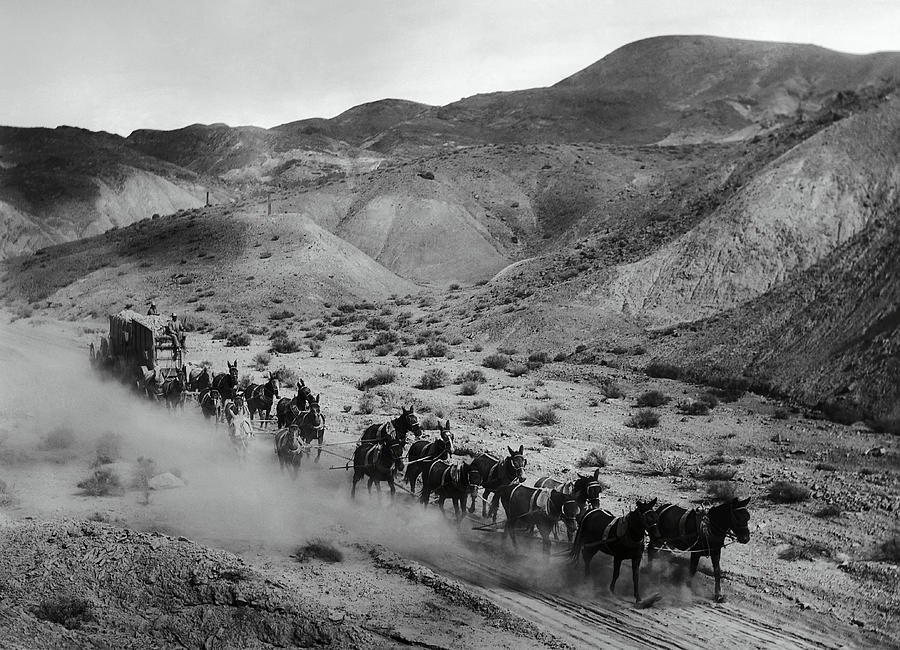 20 Mule Team Borax Hauling Death Valley C. 1899 Photograph by Daniel Hagerman