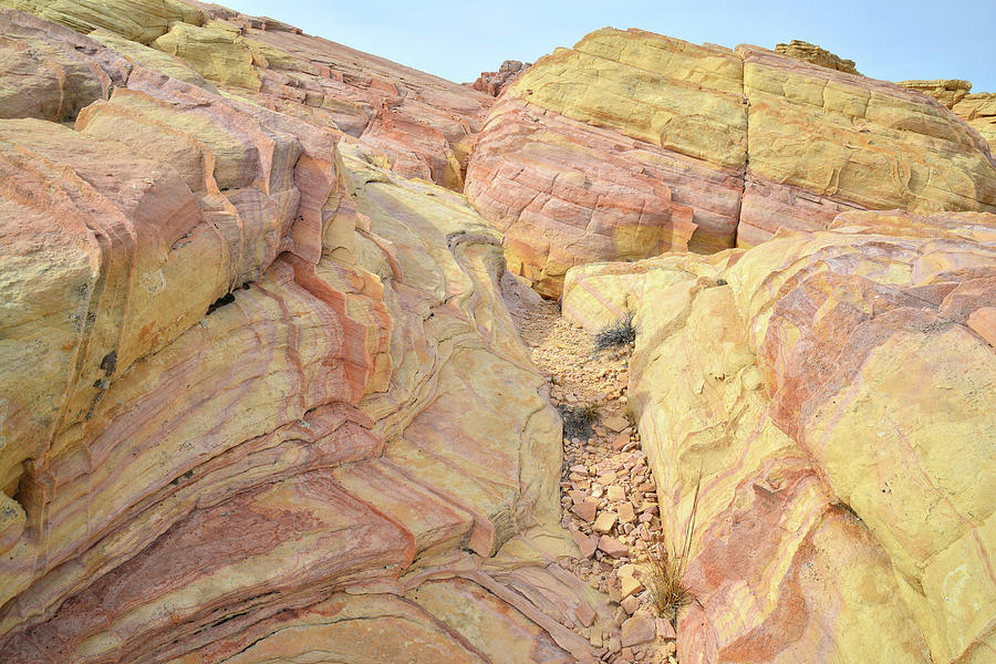Multicolored Sandstone in Valley of Fire #26 Photograph by Ray Mathis