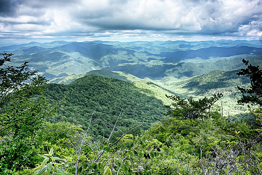 Scenes Along Appalachian Trail In Great Smoky Mountains #20 Photograph by Alex Grichenko
