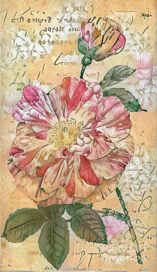 Shabby Chic Botanical Flowers #20 Digital Art by Amy Cicconi