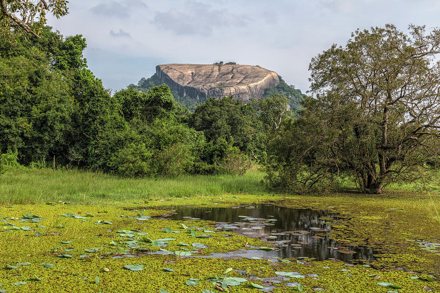 Sigiriya - Sri Lanka #20 Photograph by Joana Kruse