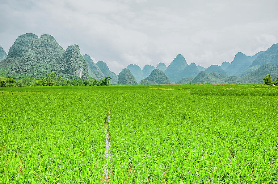 The beautiful karst rural scenery #20 Photograph by Carl Ning