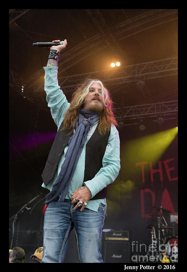 The Dead Daisies  #21 Photograph by Jenny Potter