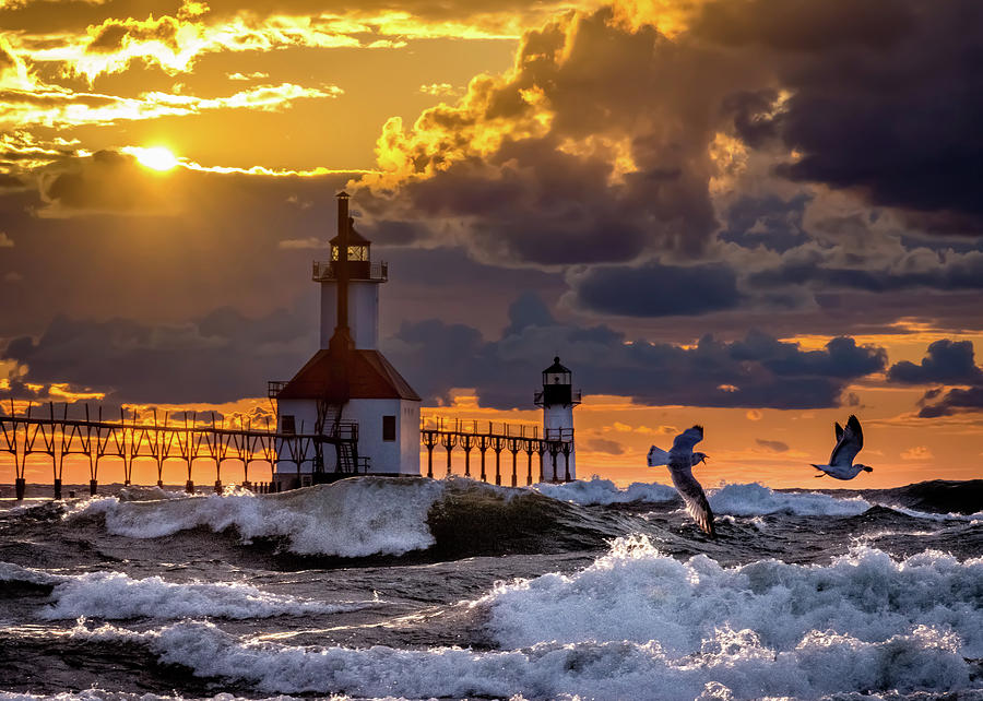 Tiscornia Beach Photograph by Molly Pate - Fine Art America