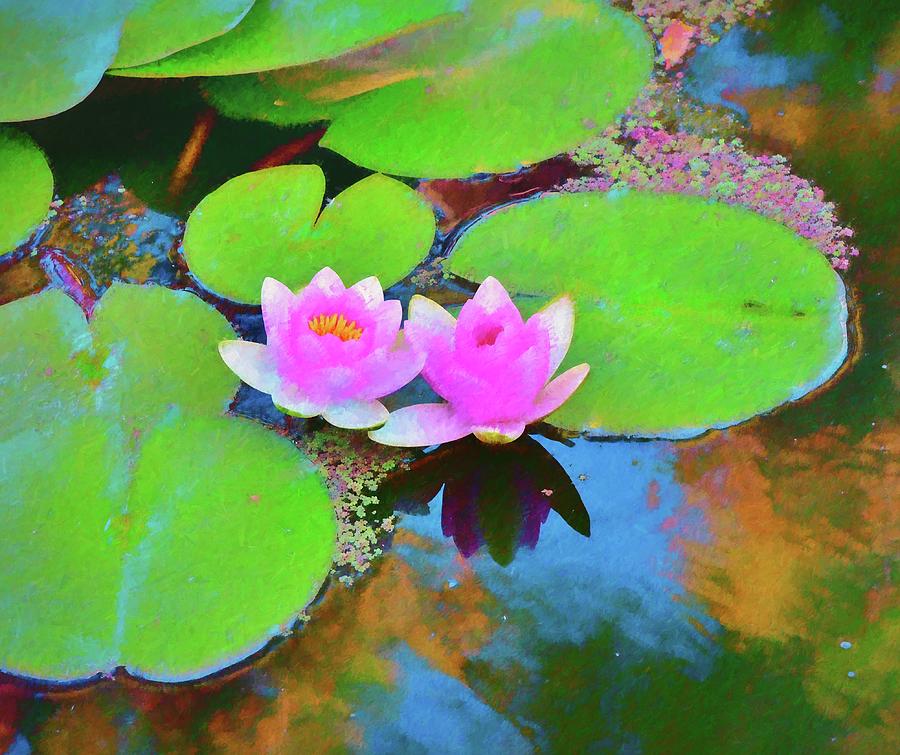 20 Water Lilies Impressionism Photograph by Linda Brody