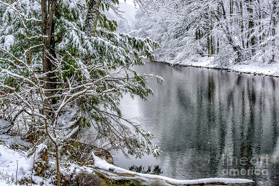 Winter along Cranberry River #20 Photograph by Thomas R Fletcher