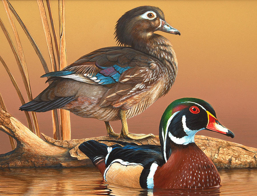 2009-2010 Alabama Migratory Waterfowl Stamp Painting By John Denney 