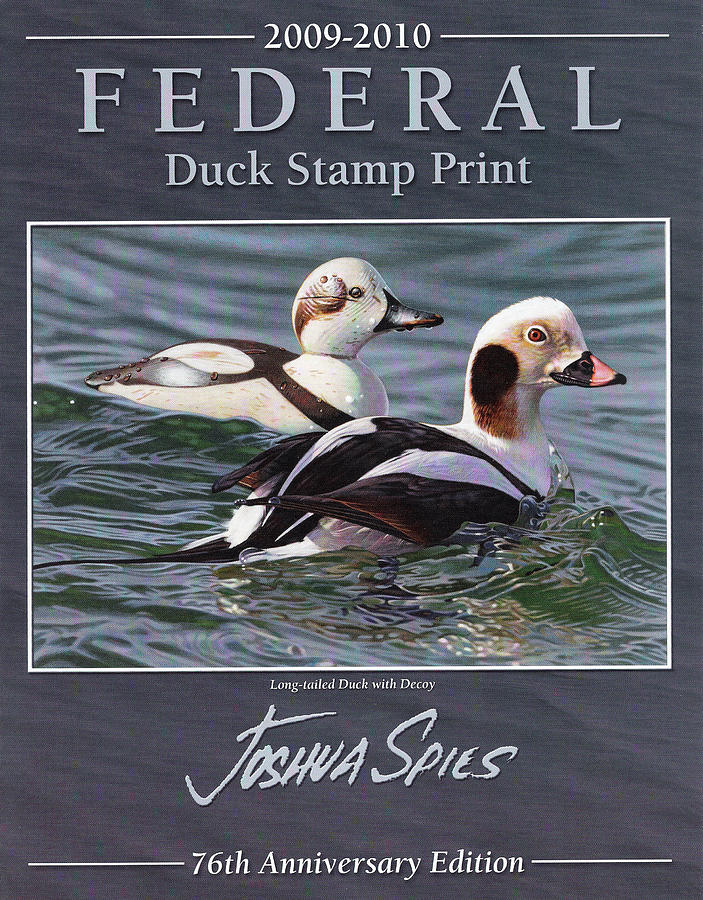 2009 Federal Duck Stamp Painting by Joshua Spies Pixels