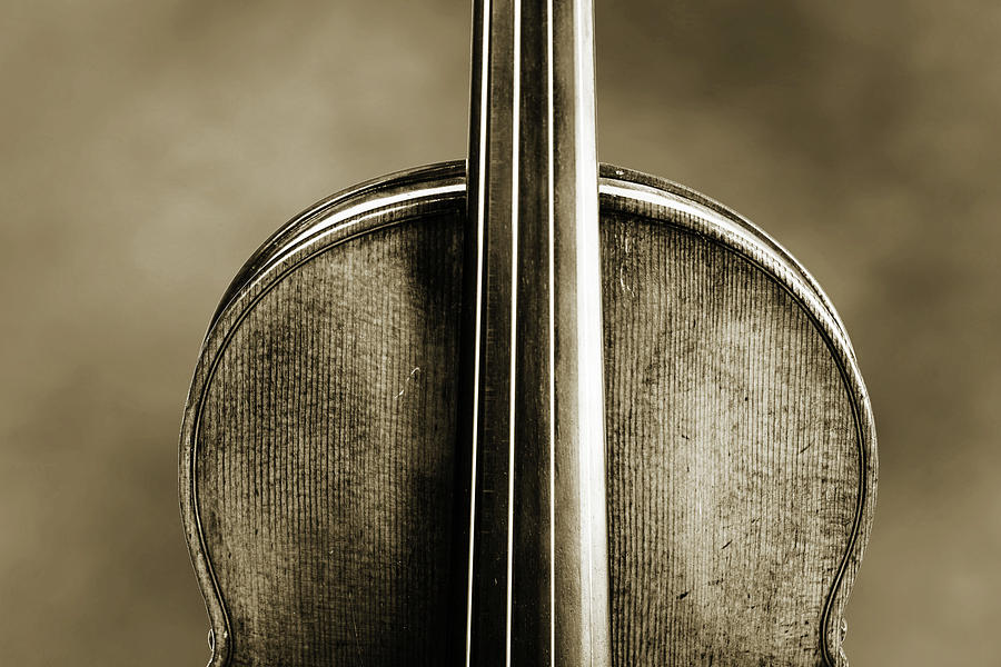 201 .1841 Violin by Jean Baptiste Vuillaume BW Photograph by M K Miller
