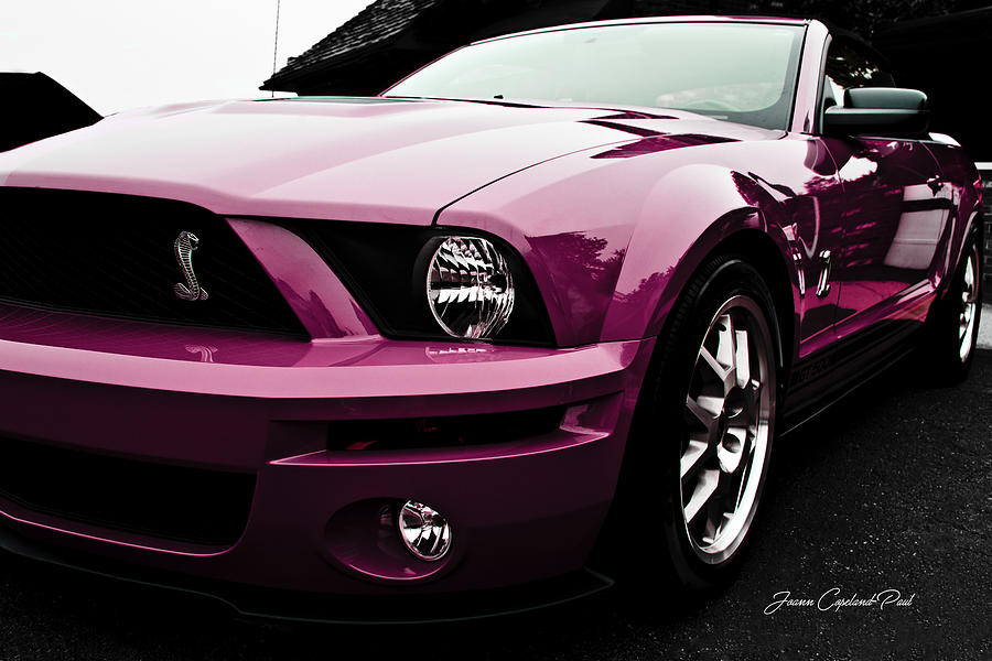 2010 Pink Ford Cobra Mustang GT 500 Photograph by Joann Copeland-Paul ...