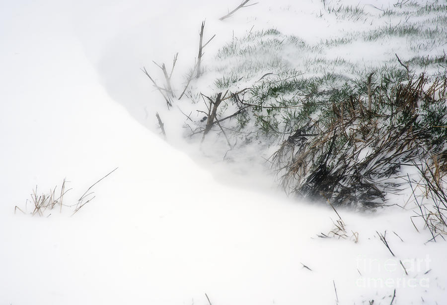 2010 Spring Snow Photograph by Fred Lassmann