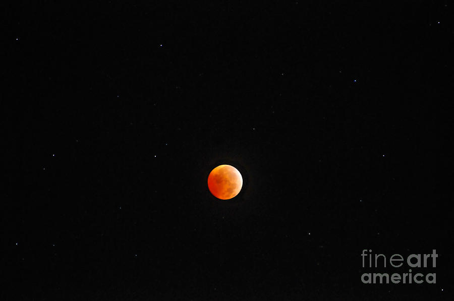 Space Photograph - 2010 Winter Solstice Lunar Eclipse by David Lee Thompson