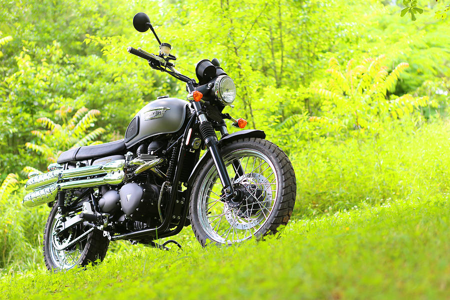 Triumph Photograph - 2013 Triumph Scrambler by Keith May Triumph Photograph - 2013 Triumph Scrambler by Keith May