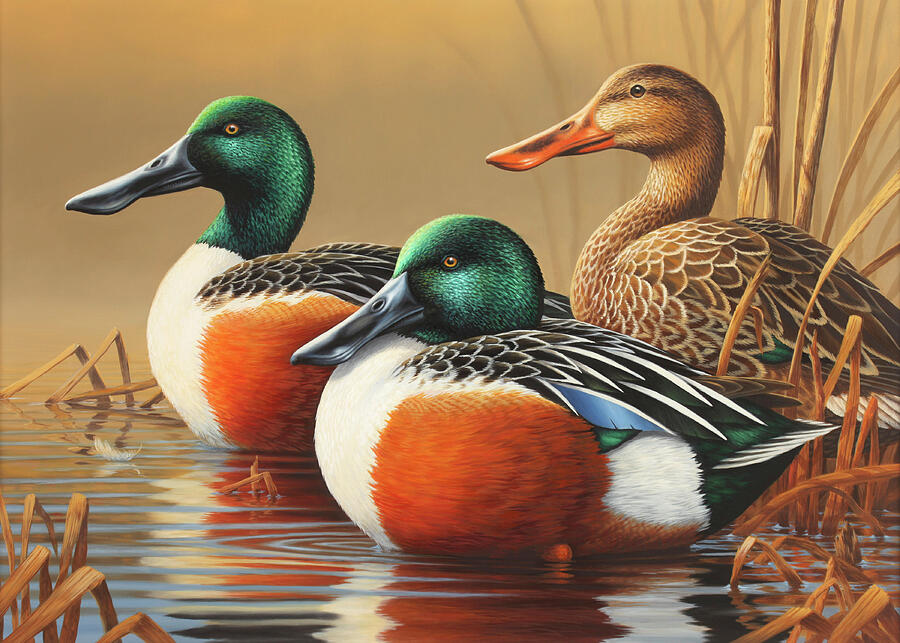 2014 Connecticut Duck Stamp Painting