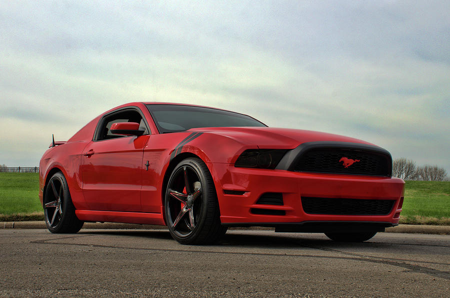2014 Mustang Photograph by Tim McCullough