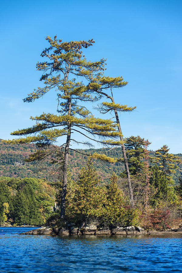 201410030-041 Pine-tree-island 2x3 Photograph by Alan Tonnesen