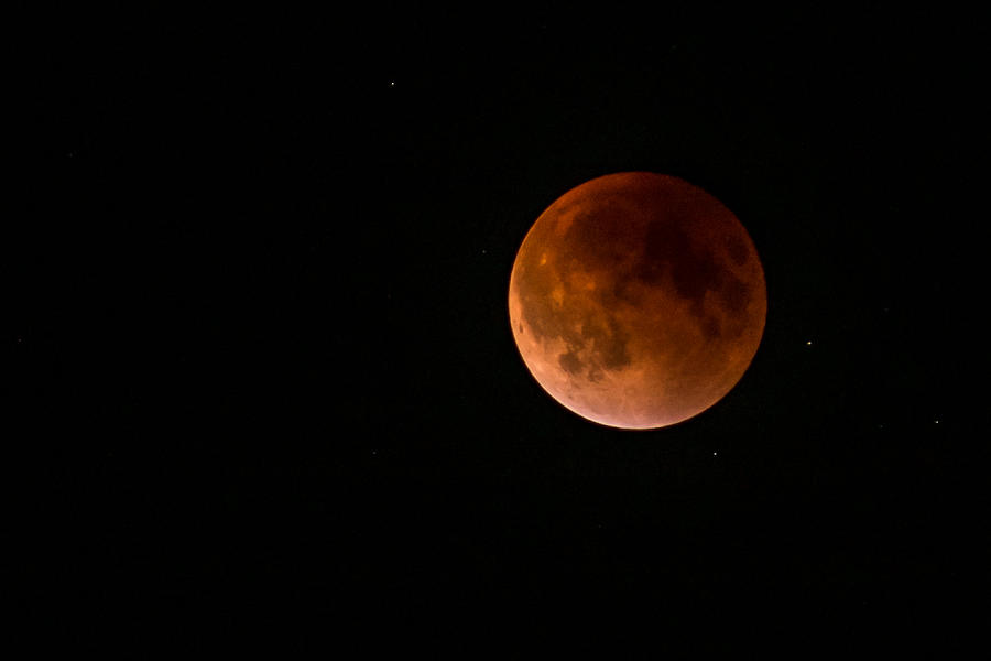 Nature Photograph - 2015 Blood Harvest Supermoon Eclipse by Terry DeLuco