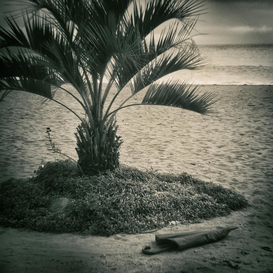 Beach Photograph - 2015 lOmbrello by Roberto Ferrero