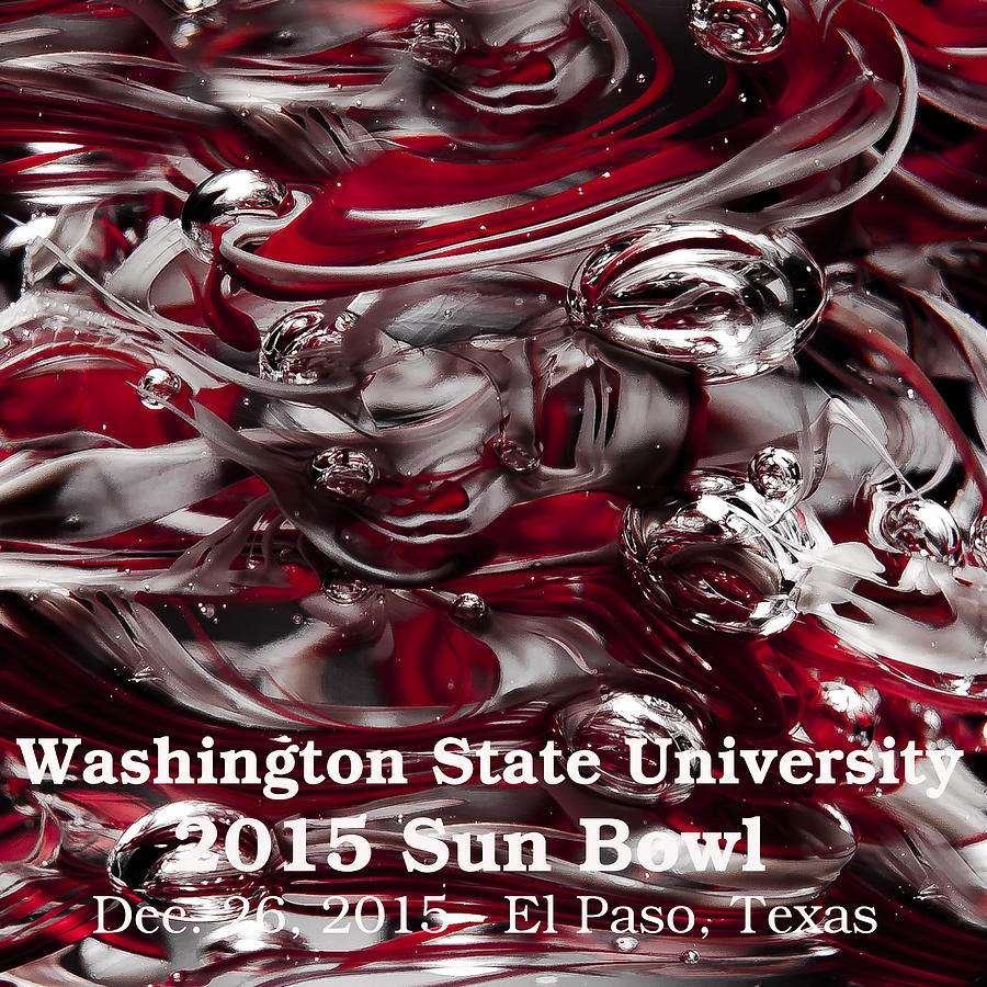 2015 Sun Bowl - WSU Cougs Photograph by David Patterson