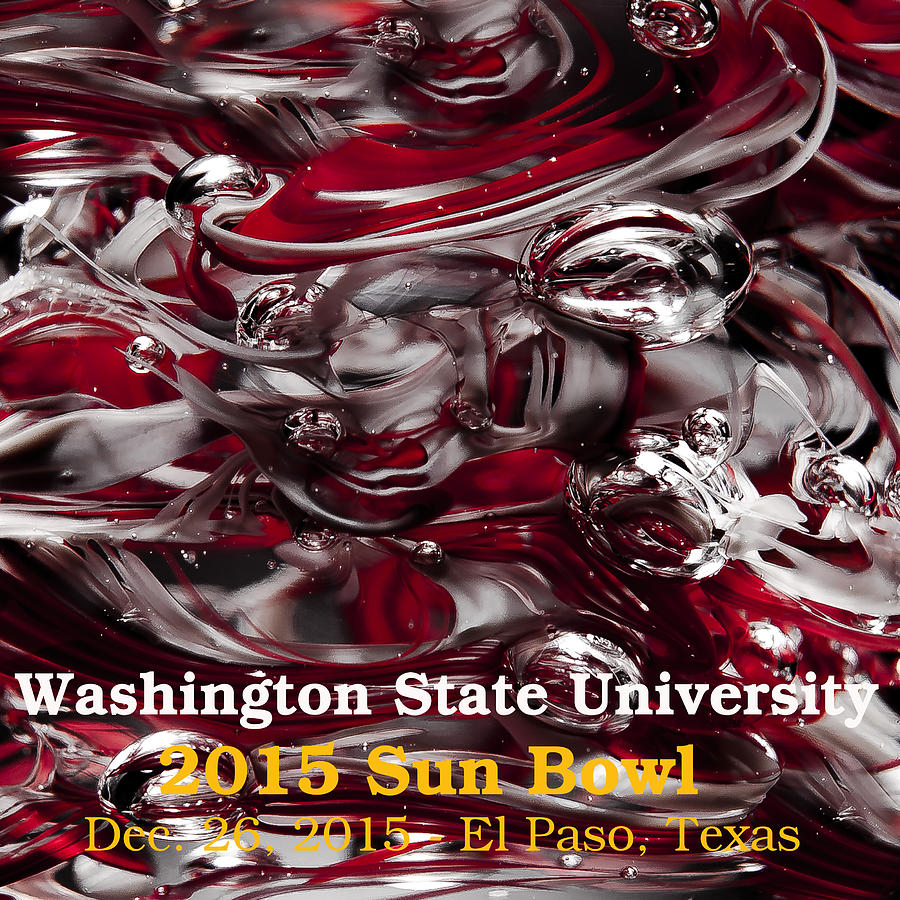 2015 Sun Bowl - WSU Photograph by David Patterson