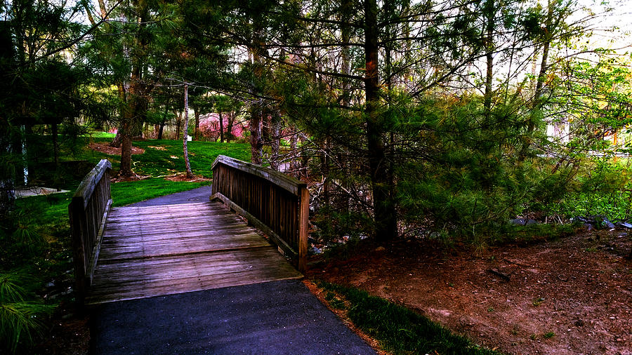 Wooden Bridge Photograph by Srinivasan Venkatarajan - Pixels