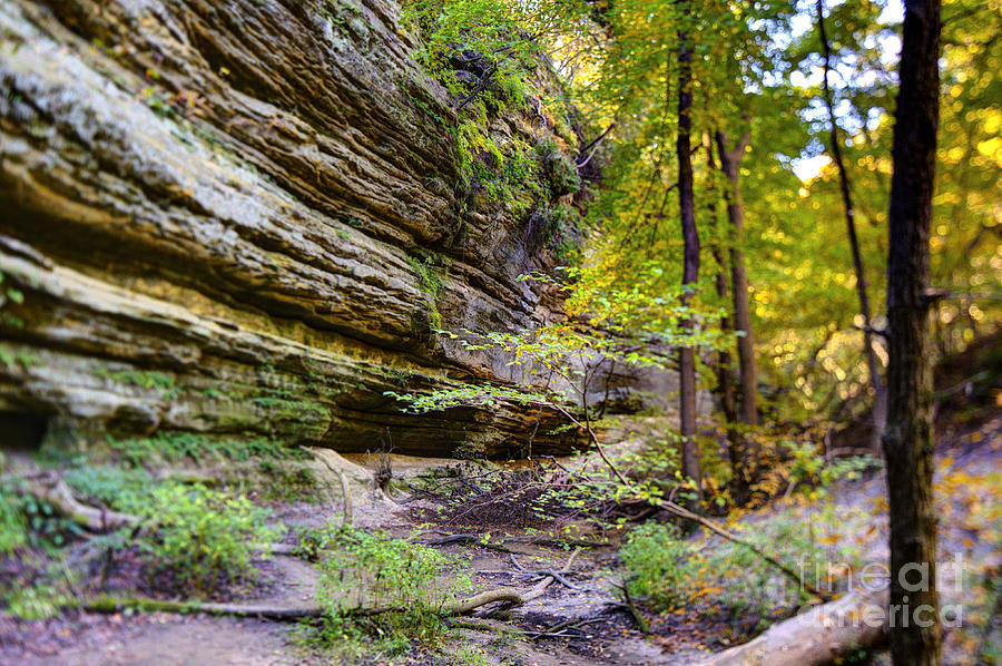 Nature Photograph - 20151011 Owl Canyon - Starved Rock State Park by Alan Look