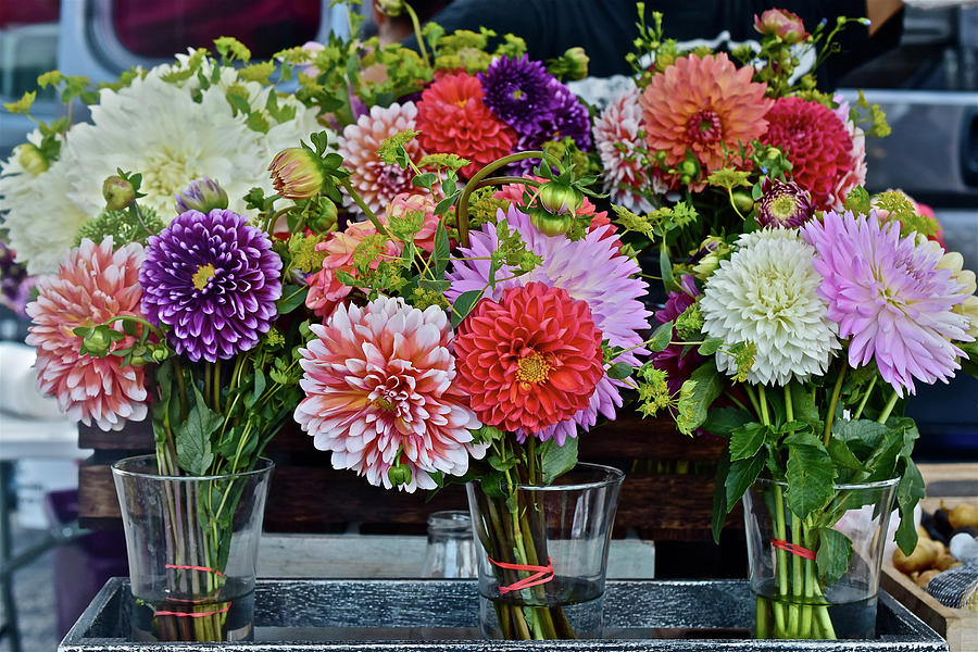 2016 Monona Farmers Market Dahlias Bouquets Photograph by Janis Senungetuk