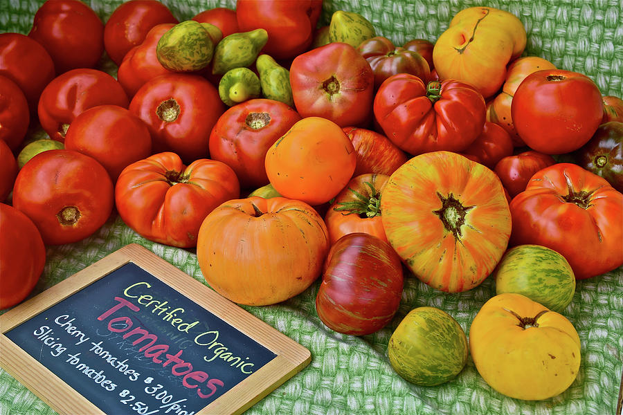 2016 Monona Farmers Market Heirloom Tomatoes Photograph by Janis Senungetuk