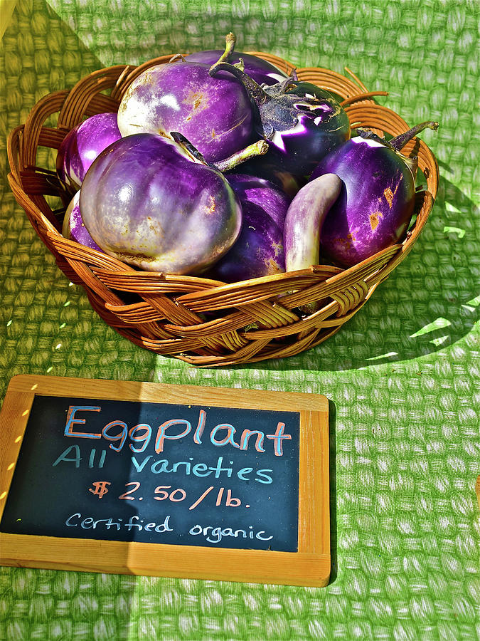 2016 Monona Farmers Market Organic Eggplant Photograph by Janis Senungetuk