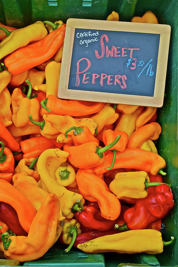 2016 Monona Farmers Market Sweet Peppers Photograph by Janis Senungetuk