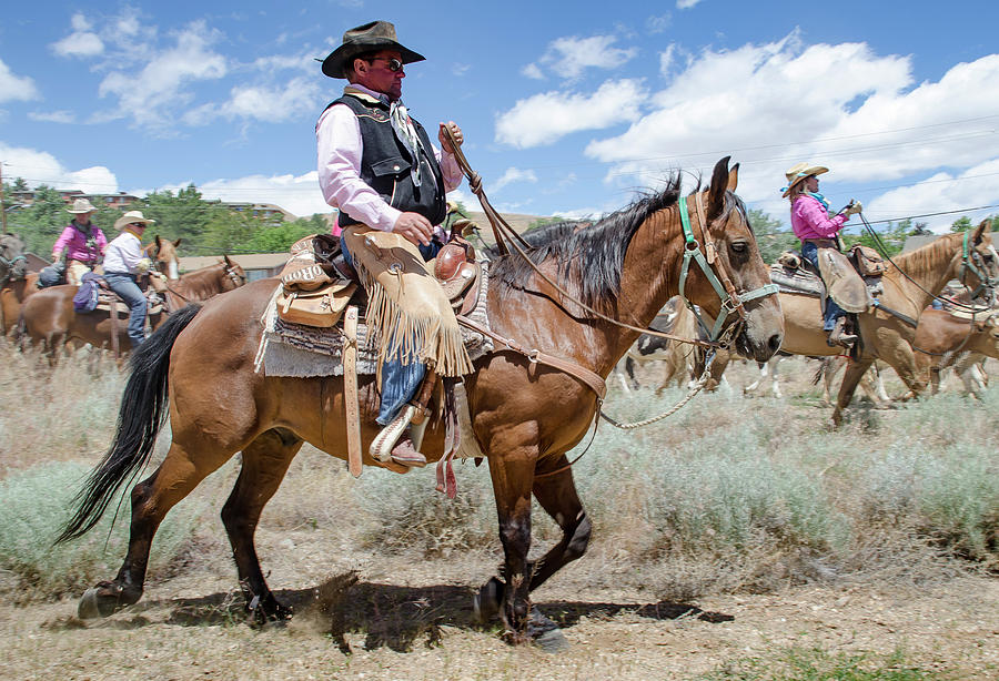 2016 Reno Cattle Drive 10 Photograph by Rick Mosher