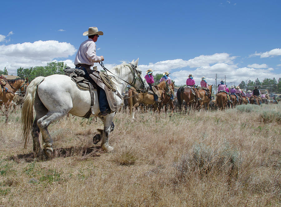 2016 Reno Cattle Drive 11 Photograph by Rick Mosher