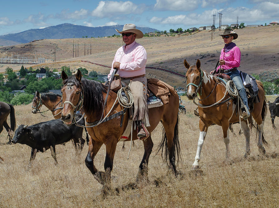 2016 Reno Cattle Drive 14 Photograph by Rick Mosher