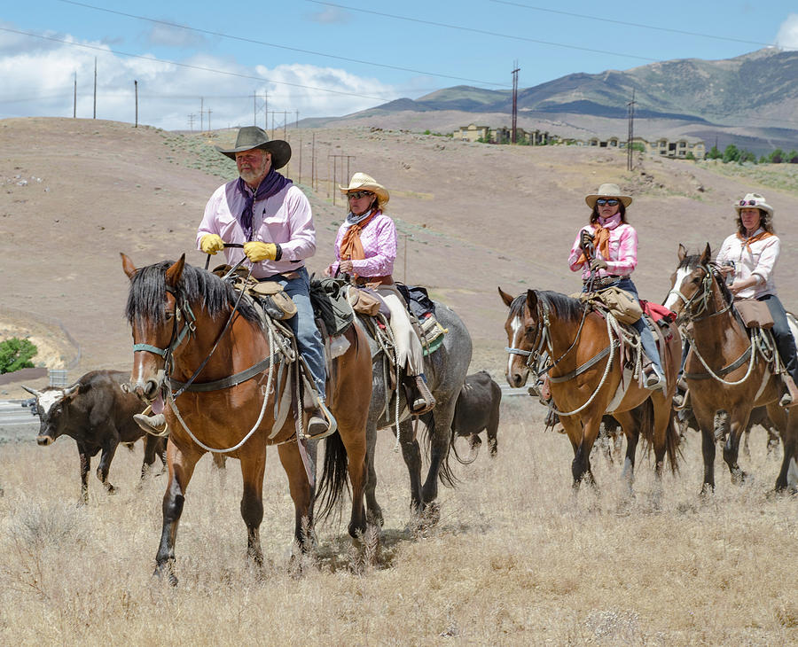 2016 Reno Cattle Drive 2 Photograph by Rick Mosher