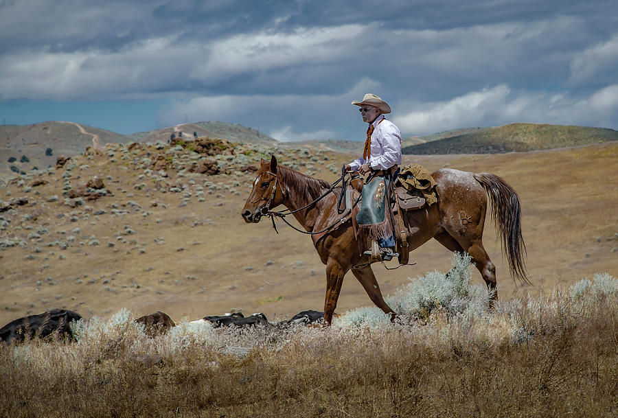 2016 Reno Cattle Drive 3 Photograph by Rick Mosher